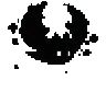 a_morceguinho