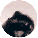 pedro Discord emoji