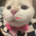 uwucar Discord Emoji