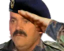 salute salute