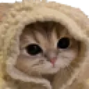 blankiecar
