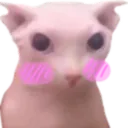 downloadcompresskaru