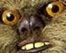 dry Discord emoji