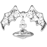 w5