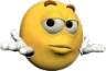 joeShrug