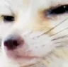 SkepticalTim