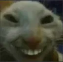 creepcat