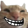 trollcat