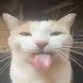 bleh bleh