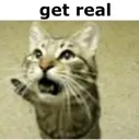 getreal getreal