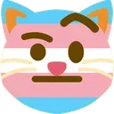 trans_raised_eyebrow_cat