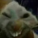xdx xdx