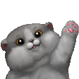 3_