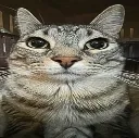 2Bgatoserio