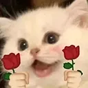 Cat_Roses