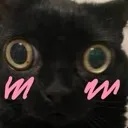 blushing_cat Discord Emoji