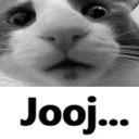 Jooj