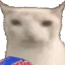 Chipsies