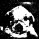 PerroDespair