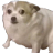:Qdog_stare: