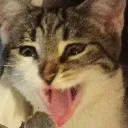 emoji_70
