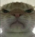 meotukgian
