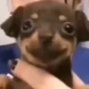 hello