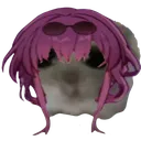 kafsadhamster kafsadhamster