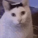 huh
