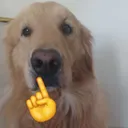 cb_Bye cb_Bye