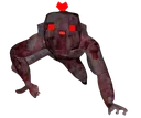 MARK
