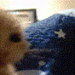 grease_my_weiner