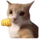 cat_punch