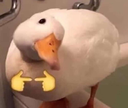 8Ducky Discord Emoji - ◇𝑺𝒕𝒂𝒓𝒍𝒊𝒈𝒉𝒕 𝑰𝒏𝒏◇