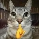 SHH