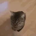 KillsYou KillsYou