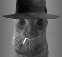 MS_CatBlinder Discord emoji