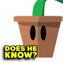 doesheknow