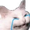 Cat Cry cat_cry Discord Emoji