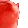 hypercatjam
