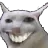 catsmile