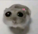 DD_nyte Discord emoji