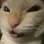 hehcat