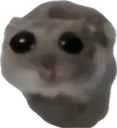 8Sad_Hamster custom emote from ◇𝑺𝒕𝒂𝒓𝒍𝒊𝒈𝒉𝒕 𝑰𝒏𝒏◇