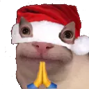 spidgetpray spidgetpray