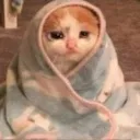 emoji_117