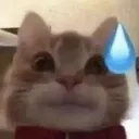 ohoWvoopsie