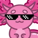 AxolotlSwag