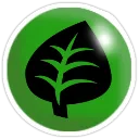 GRASS