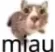 miau